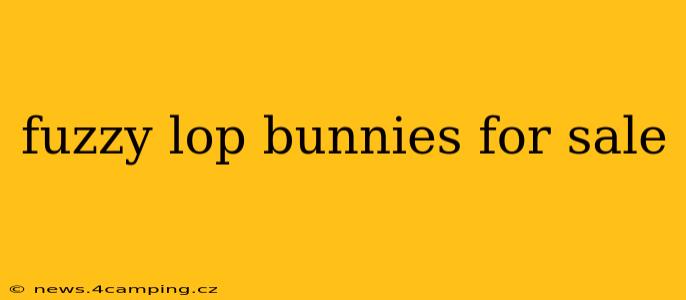 fuzzy lop bunnies for sale