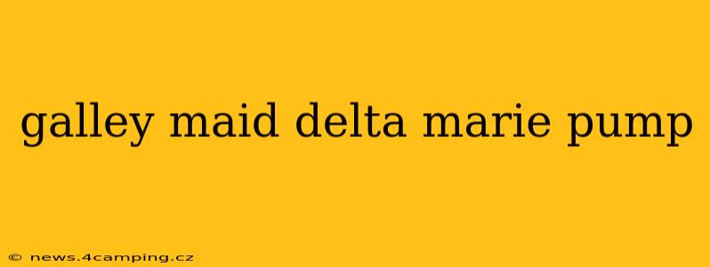 galley maid delta marie pump