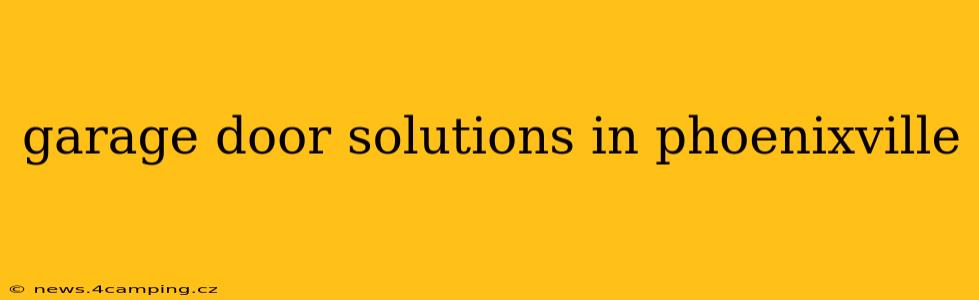 garage door solutions in phoenixville