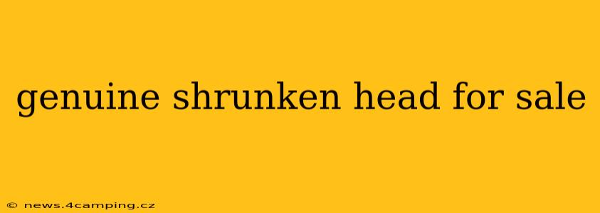 genuine shrunken head for sale