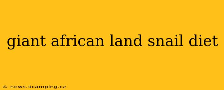 giant african land snail diet