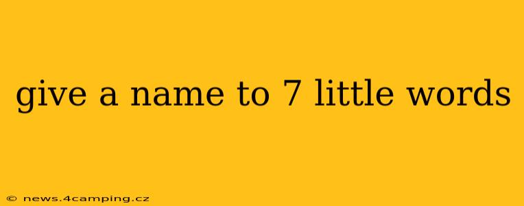 give a name to 7 little words