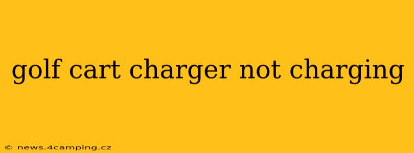golf cart charger not charging