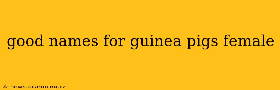 good names for guinea pigs female