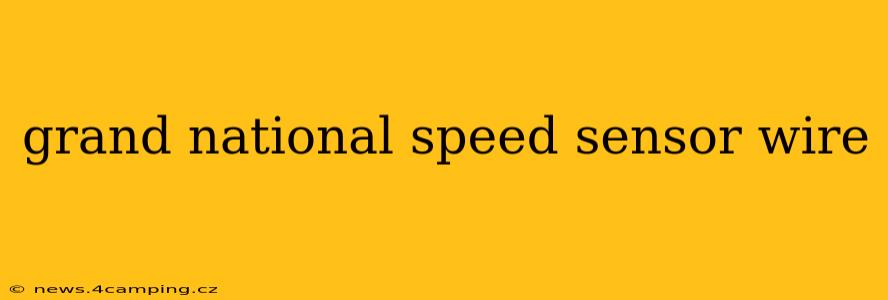 grand national speed sensor wire