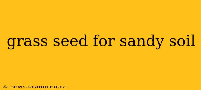 grass seed for sandy soil