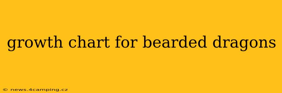 growth chart for bearded dragons
