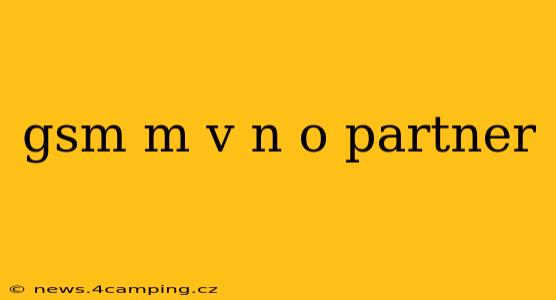 gsm m v n o partner