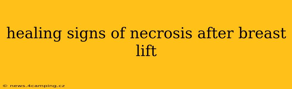 healing signs of necrosis after breast lift