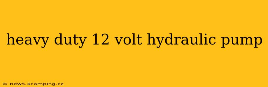 heavy duty 12 volt hydraulic pump