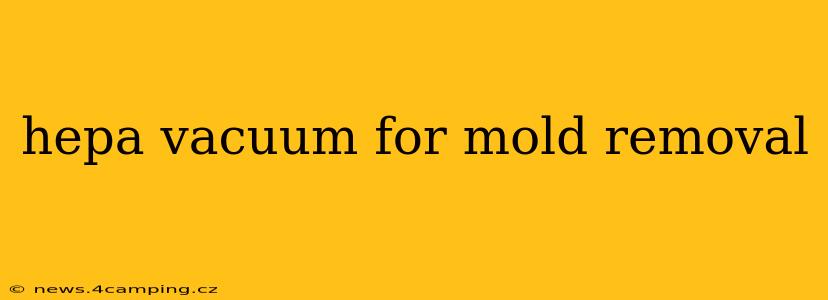 hepa vacuum for mold removal
