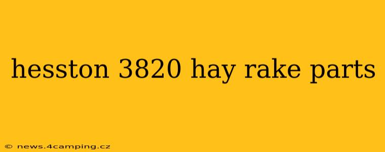 hesston 3820 hay rake parts