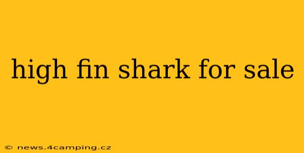 high fin shark for sale