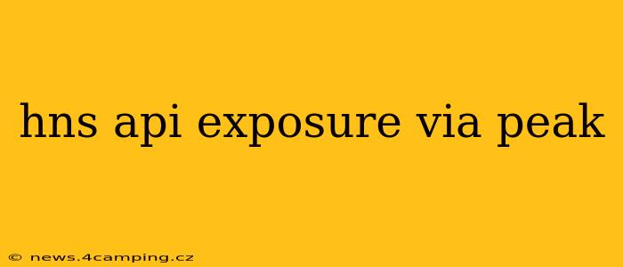 hns api exposure via peak