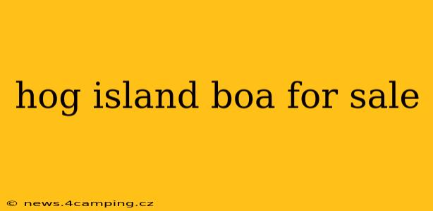 hog island boa for sale