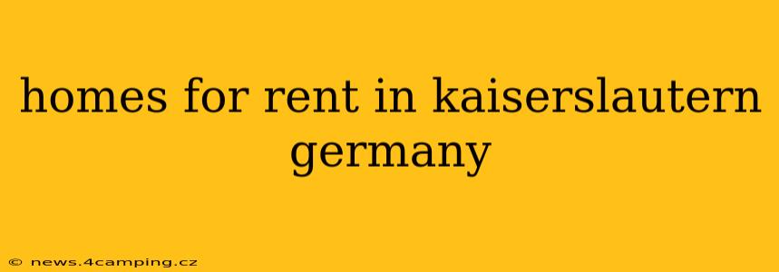 homes for rent in kaiserslautern germany