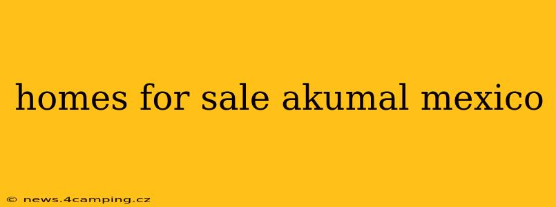homes for sale akumal mexico