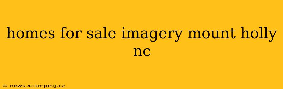 homes for sale imagery mount holly nc