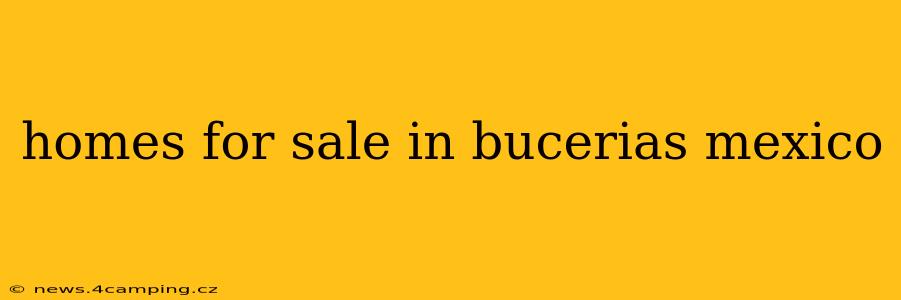 homes for sale in bucerias mexico
