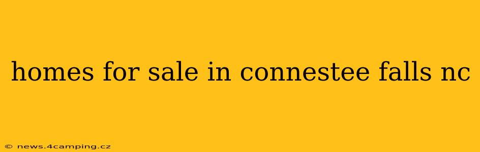 homes for sale in connestee falls nc