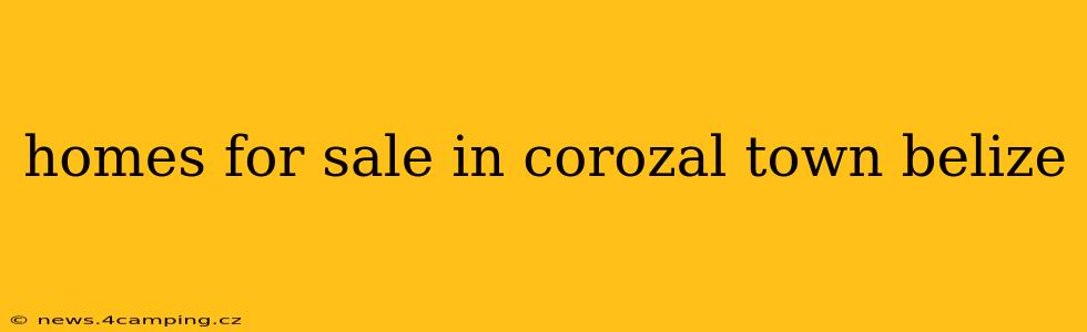 homes for sale in corozal town belize