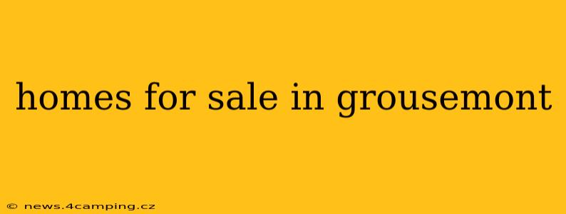 homes for sale in grousemont