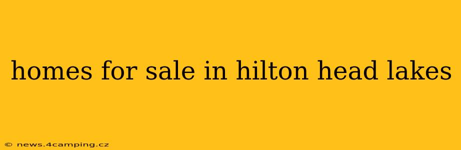 homes for sale in hilton head lakes
