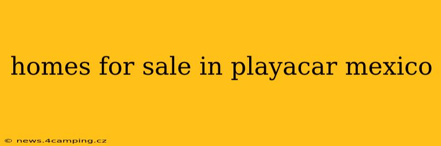 homes for sale in playacar mexico