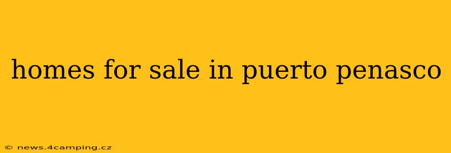 homes for sale in puerto penasco