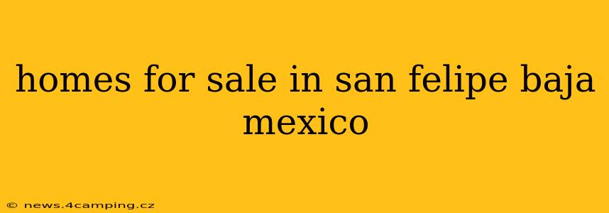 homes for sale in san felipe baja mexico