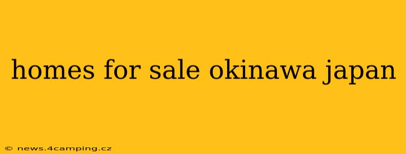 homes for sale okinawa japan