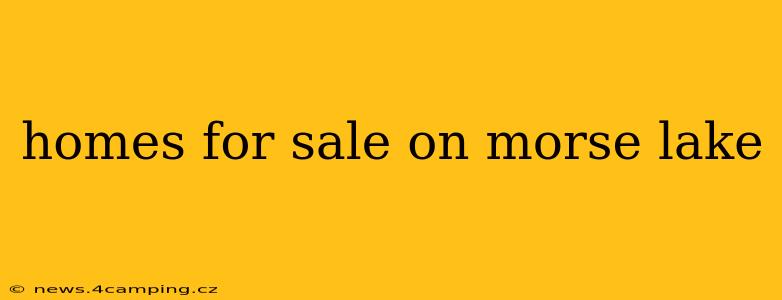 homes for sale on morse lake