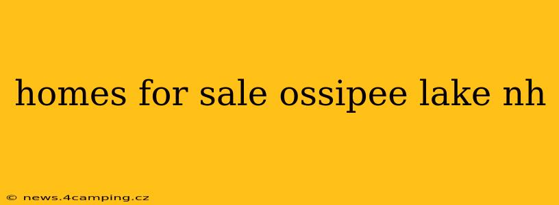 homes for sale ossipee lake nh
