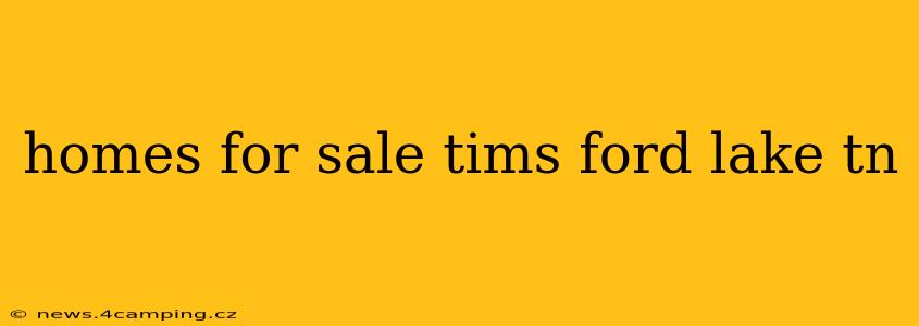 homes for sale tims ford lake tn