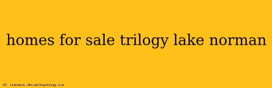 homes for sale trilogy lake norman