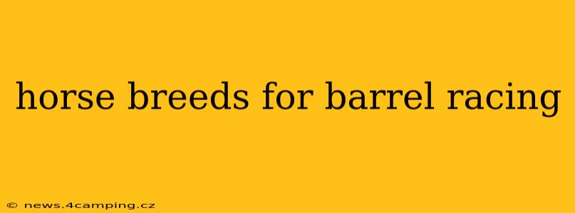 horse breeds for barrel racing