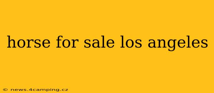 horse for sale los angeles