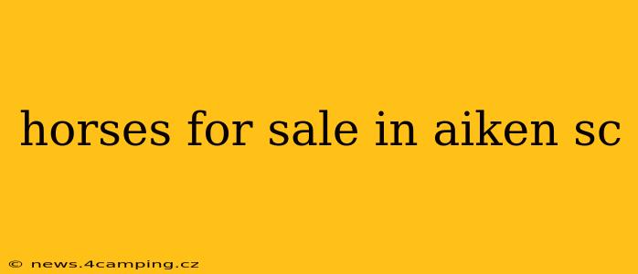 horses for sale in aiken sc