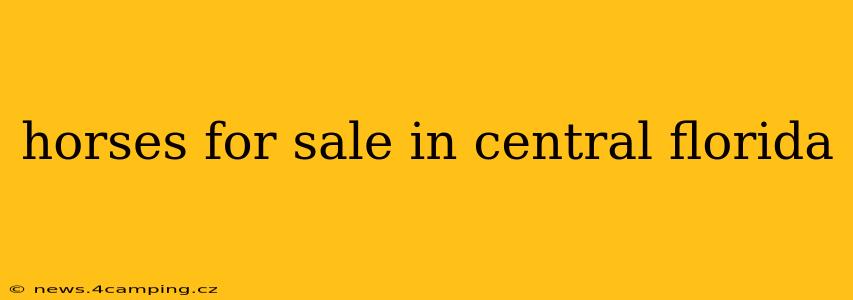 horses for sale in central florida