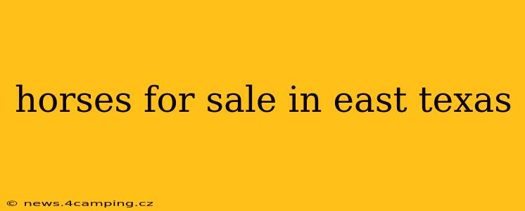 horses for sale in east texas