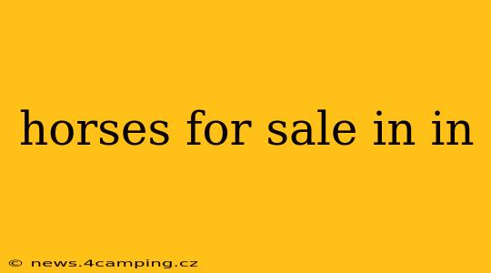 horses for sale in in