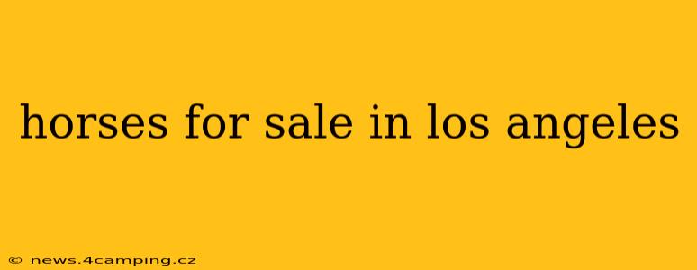 horses for sale in los angeles