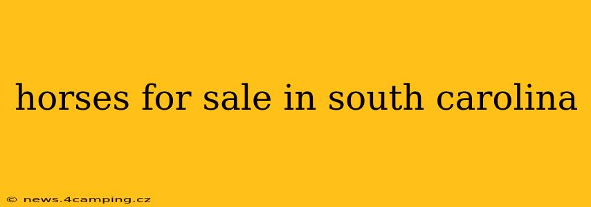 horses for sale in south carolina