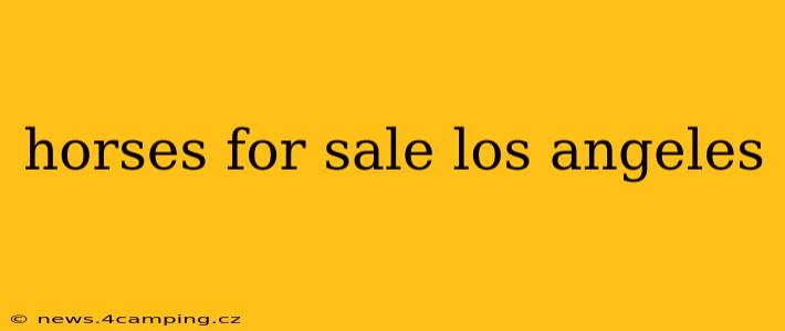 horses for sale los angeles
