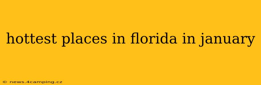 hottest places in florida in january