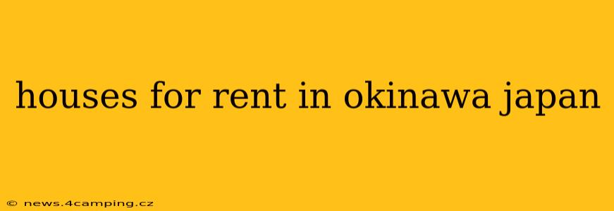 houses for rent in okinawa japan