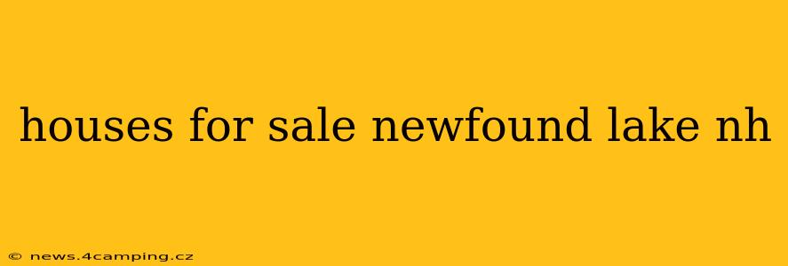 houses for sale newfound lake nh