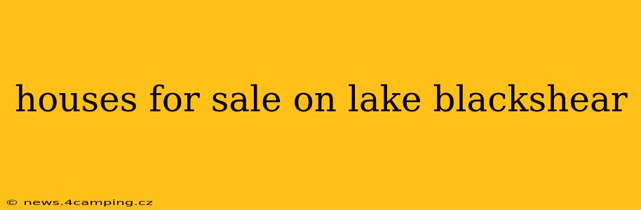 houses for sale on lake blackshear