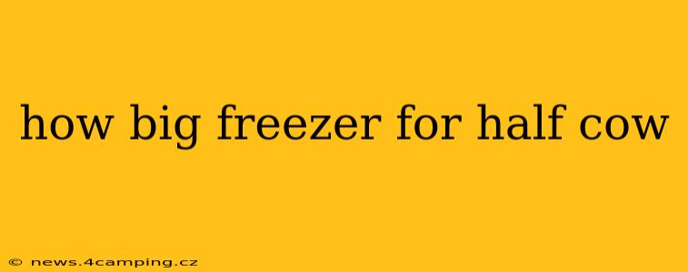 how big freezer for half cow