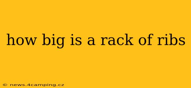 how big is a rack of ribs